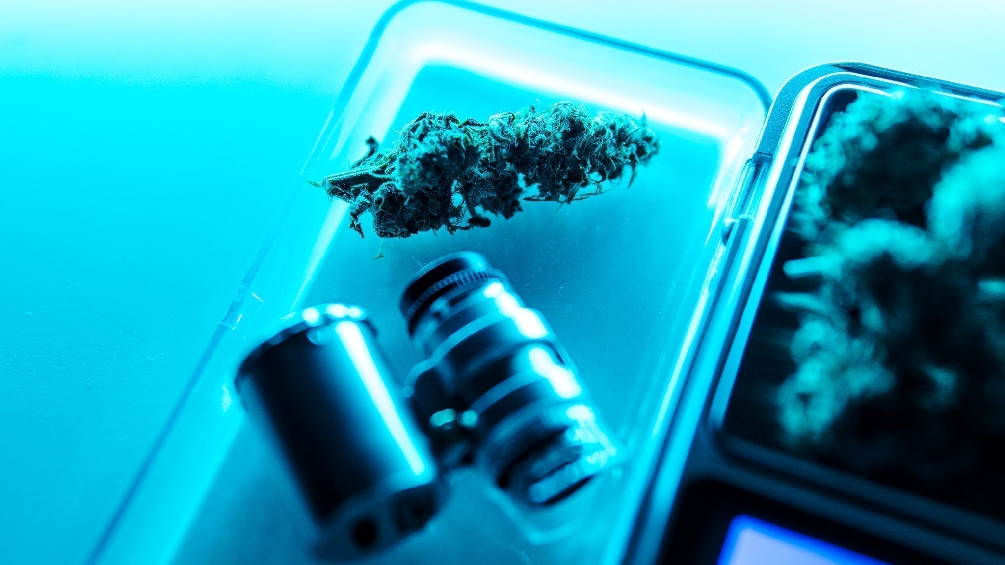 Hemp flower beside a grinder and storage case for a Dr. Wonderstone guide answering is THCa legal and how hemp-derived products are regulated.