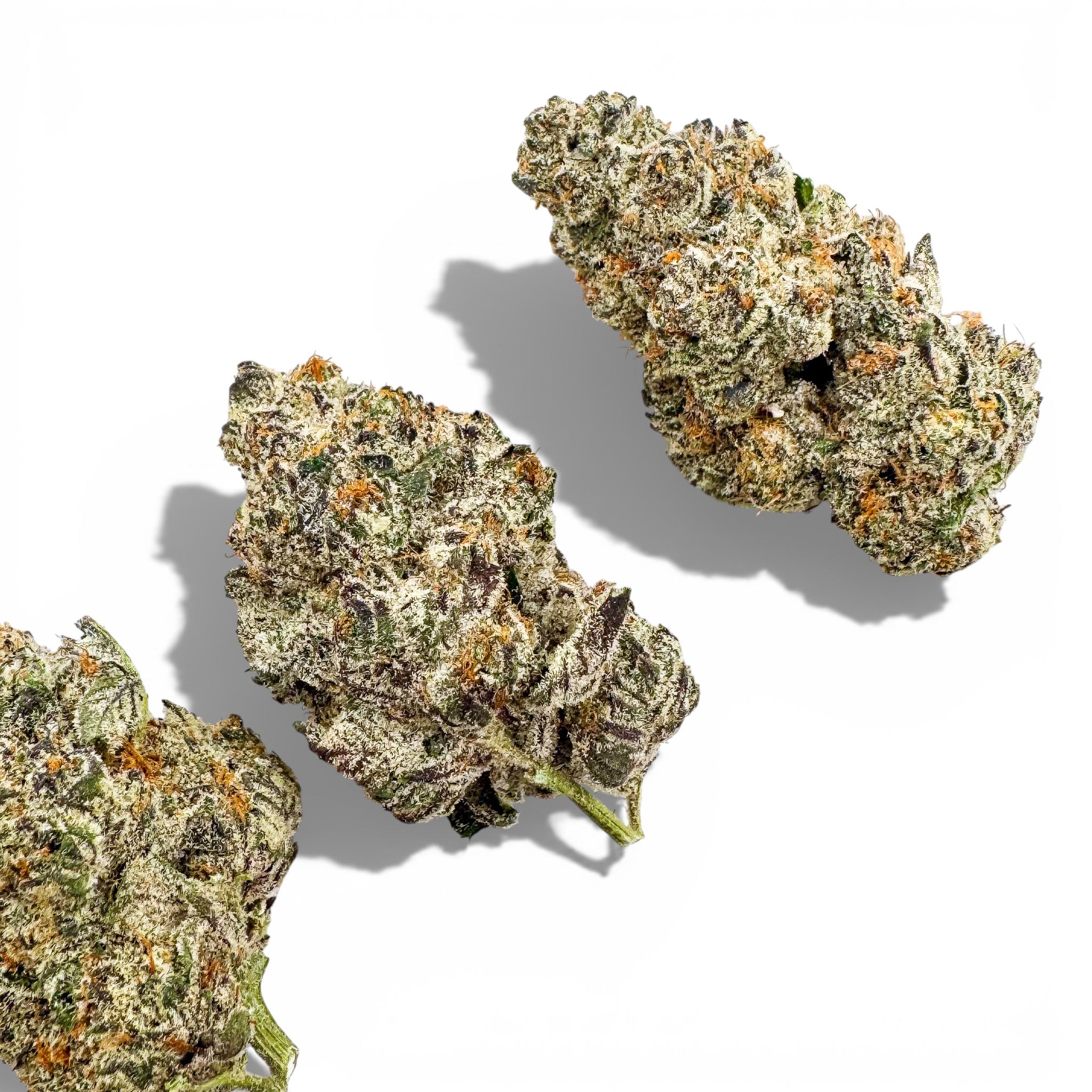 Black Cherry Soda Wholesale THCa Flower