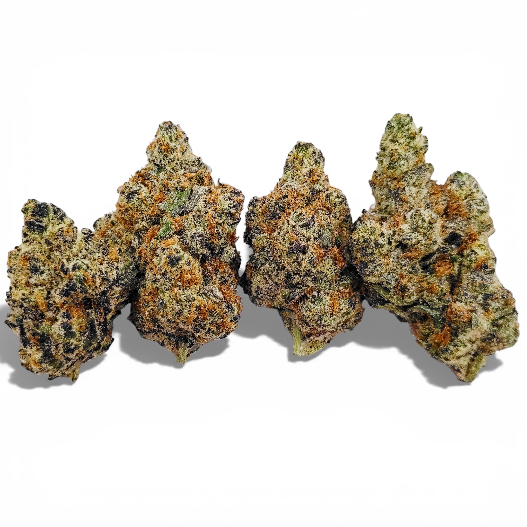 Black Grape Soda Wholesale THCa Flower