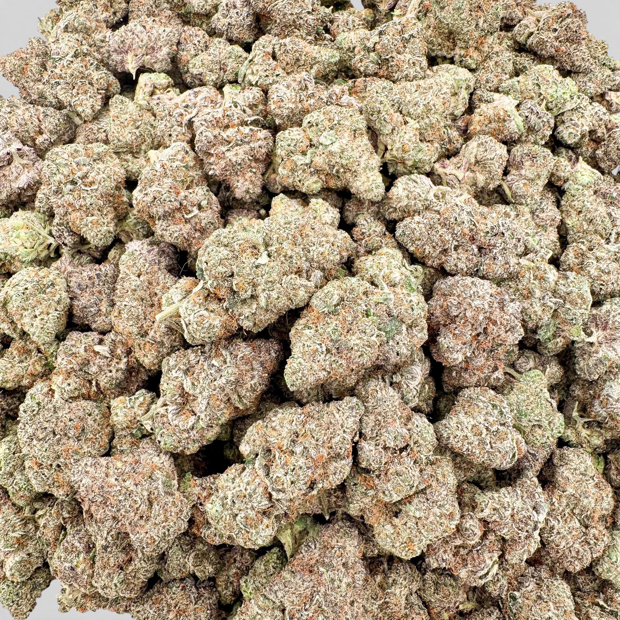 Blue Zushi Wholesale THCa Flower