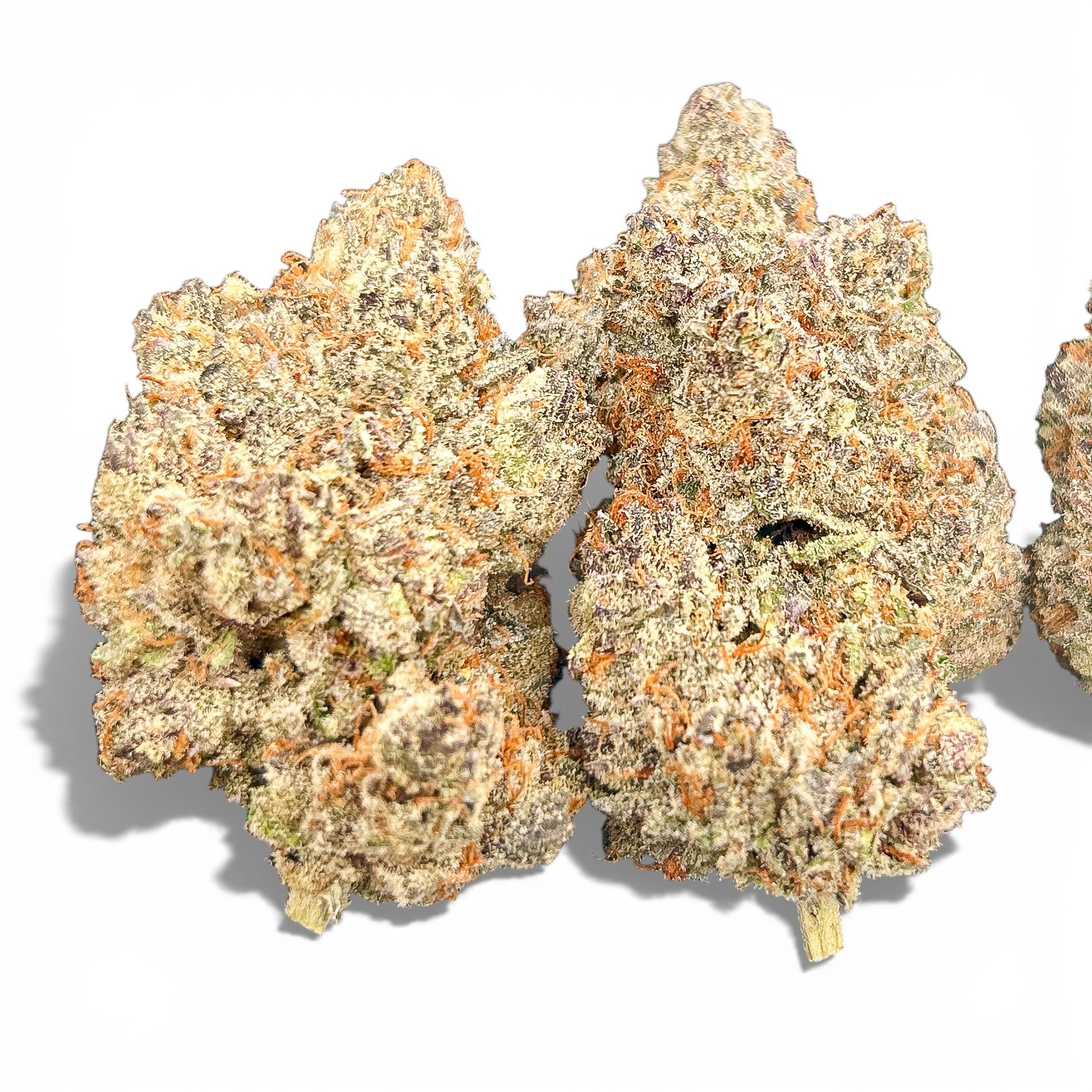 Blueberry Pie Wholesale THCa Flower