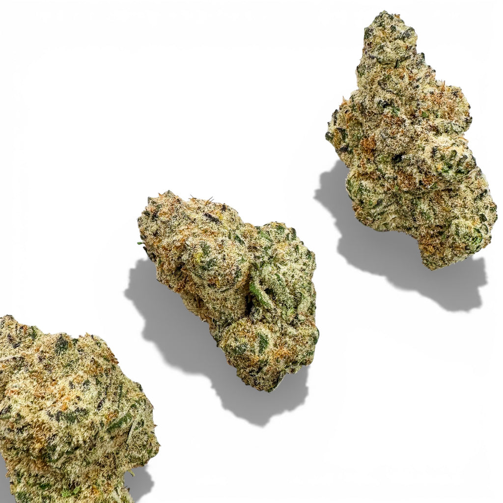 BOLO Runtz Wholesale THCa Flower