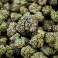 Georgia Pie Wholesale THCa Flower