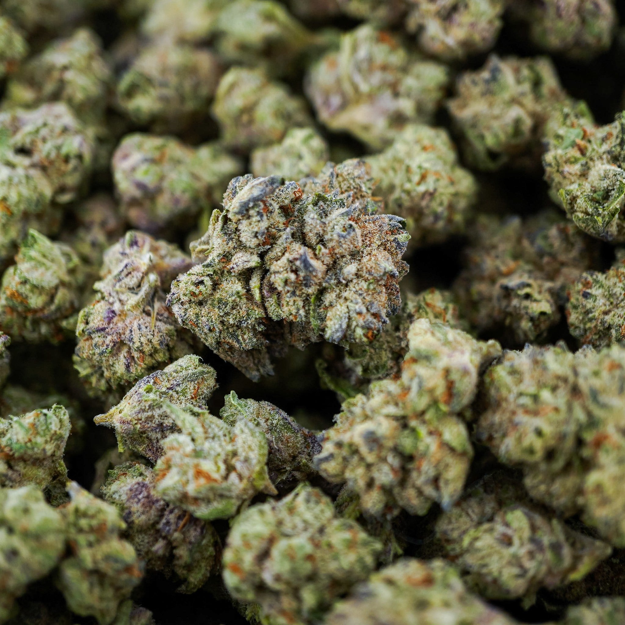 Georgia Pie Wholesale THCa Flower