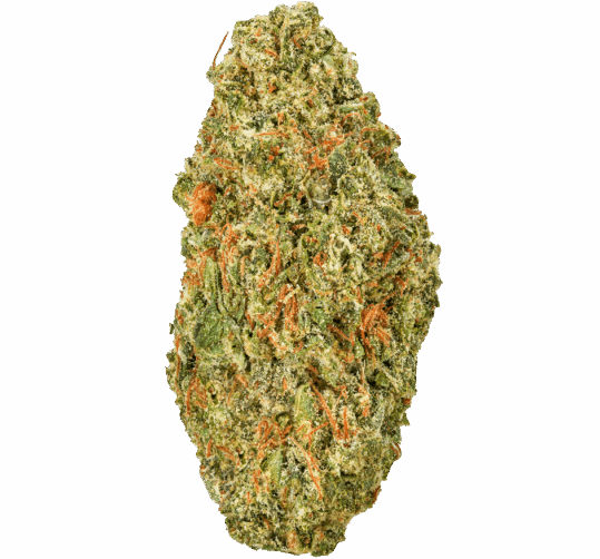 Double Runtz Value Indoor Wholesale THCa Flower