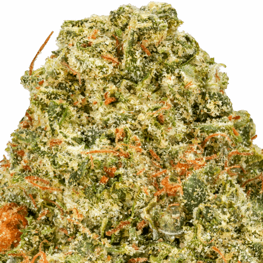 Double Runtz Value Indoor Wholesale THCa Flower