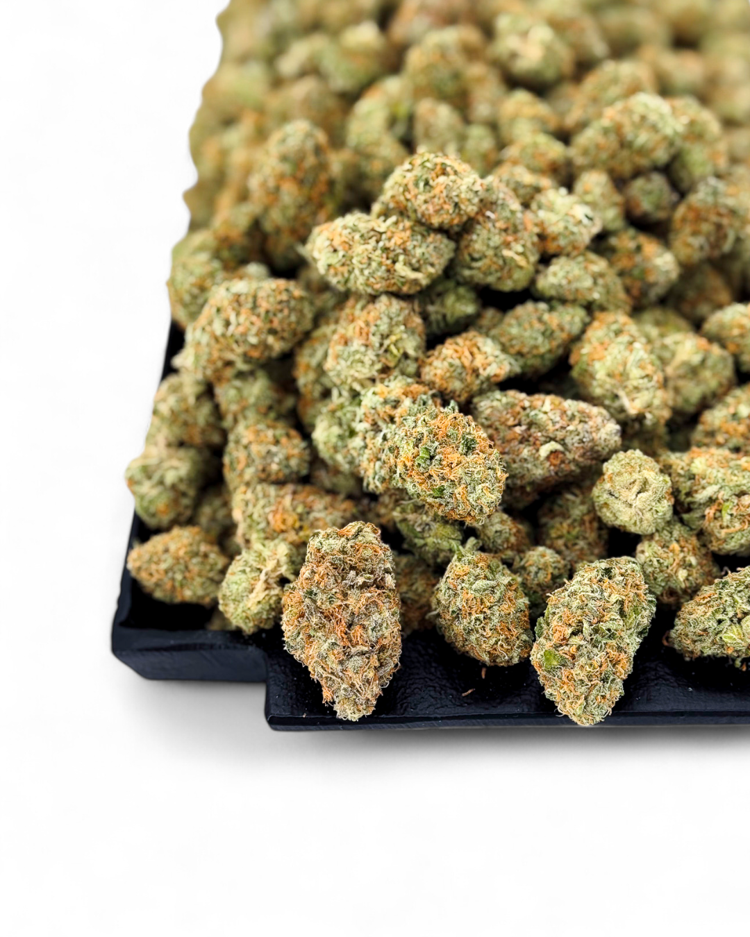 Close-up of cannabis buds on a black tray with a white background
