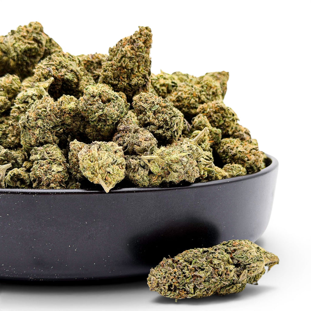 Gelato Fuel Value Indoor Wholesale THCa Flower