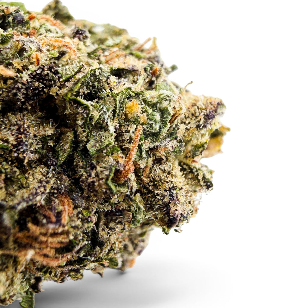 Gelato Fuel Value Indoor Wholesale THCa Flower