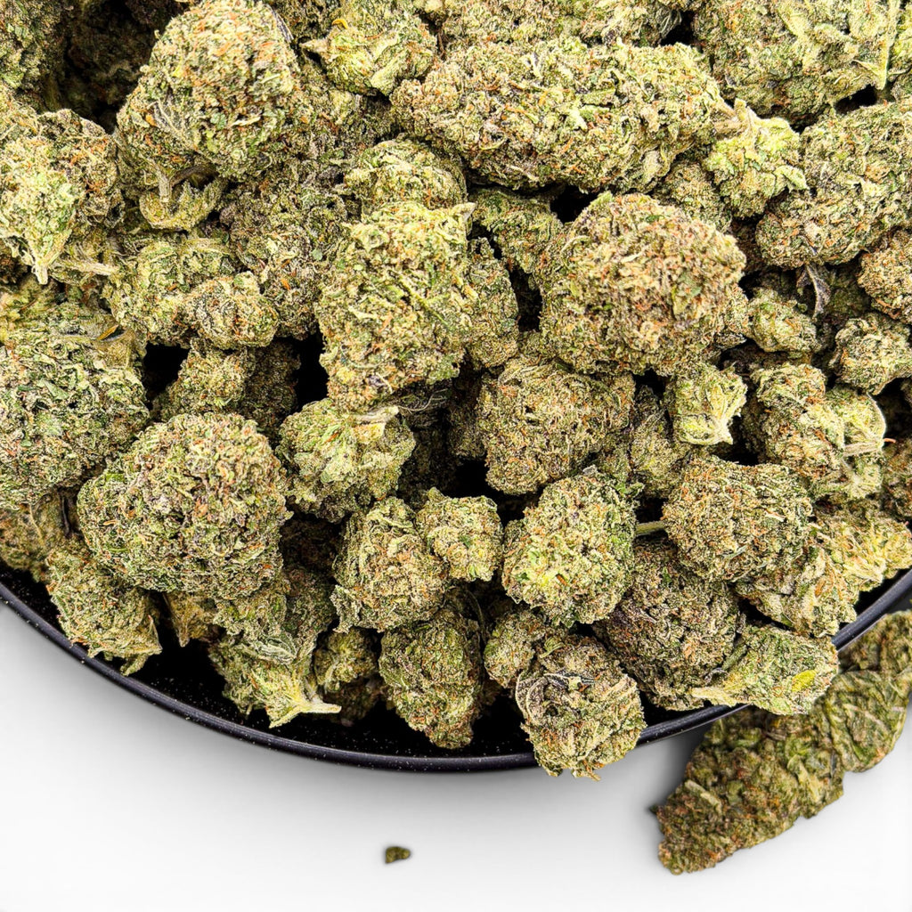 Gelato Fuel Value Indoor Wholesale THCa Flower