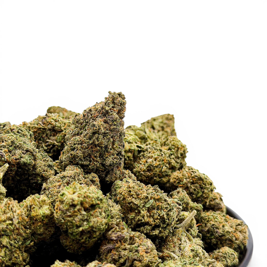 Gelato Fuel Value Indoor Wholesale THCa Flower
