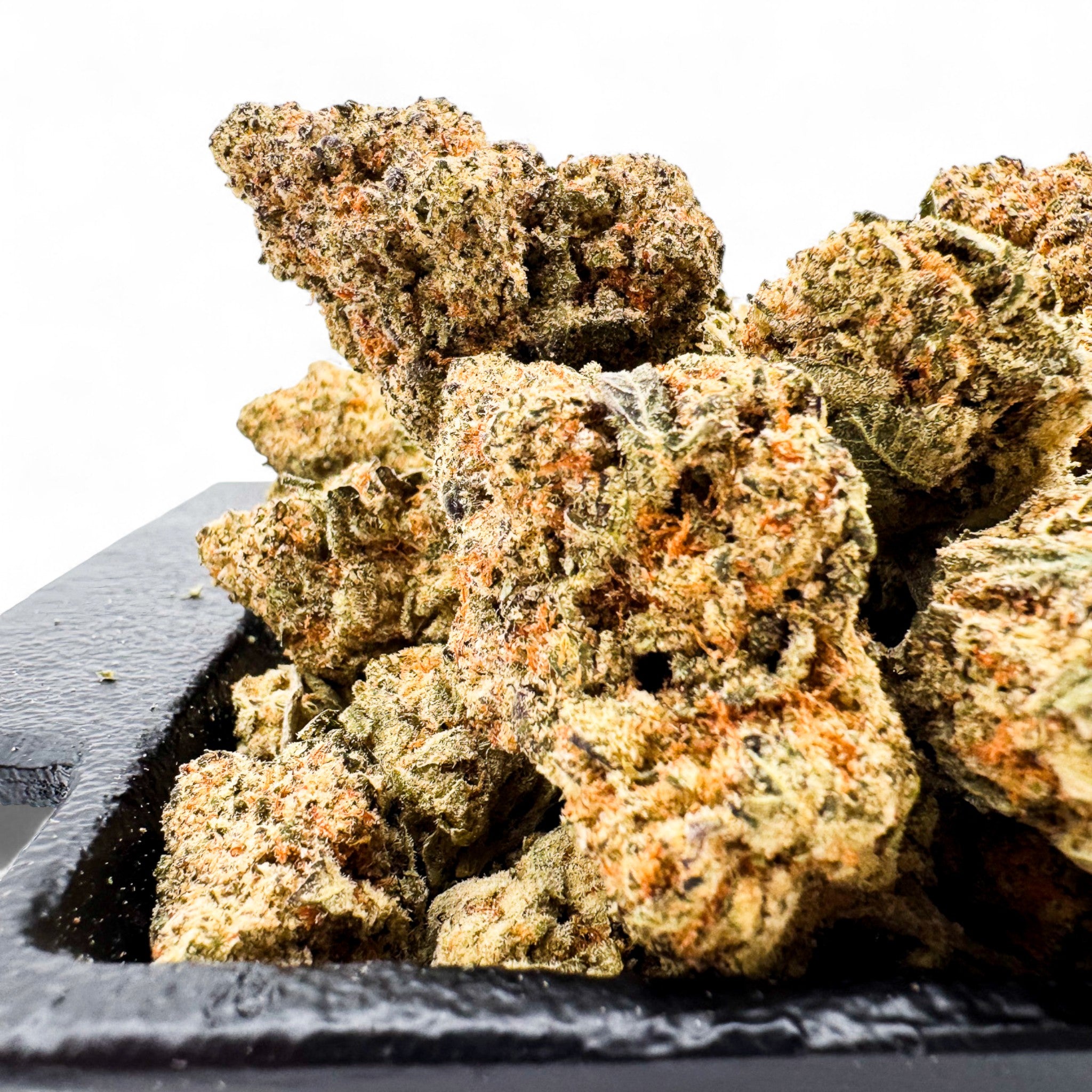 Apricot Scones Wholesale THCa Flower