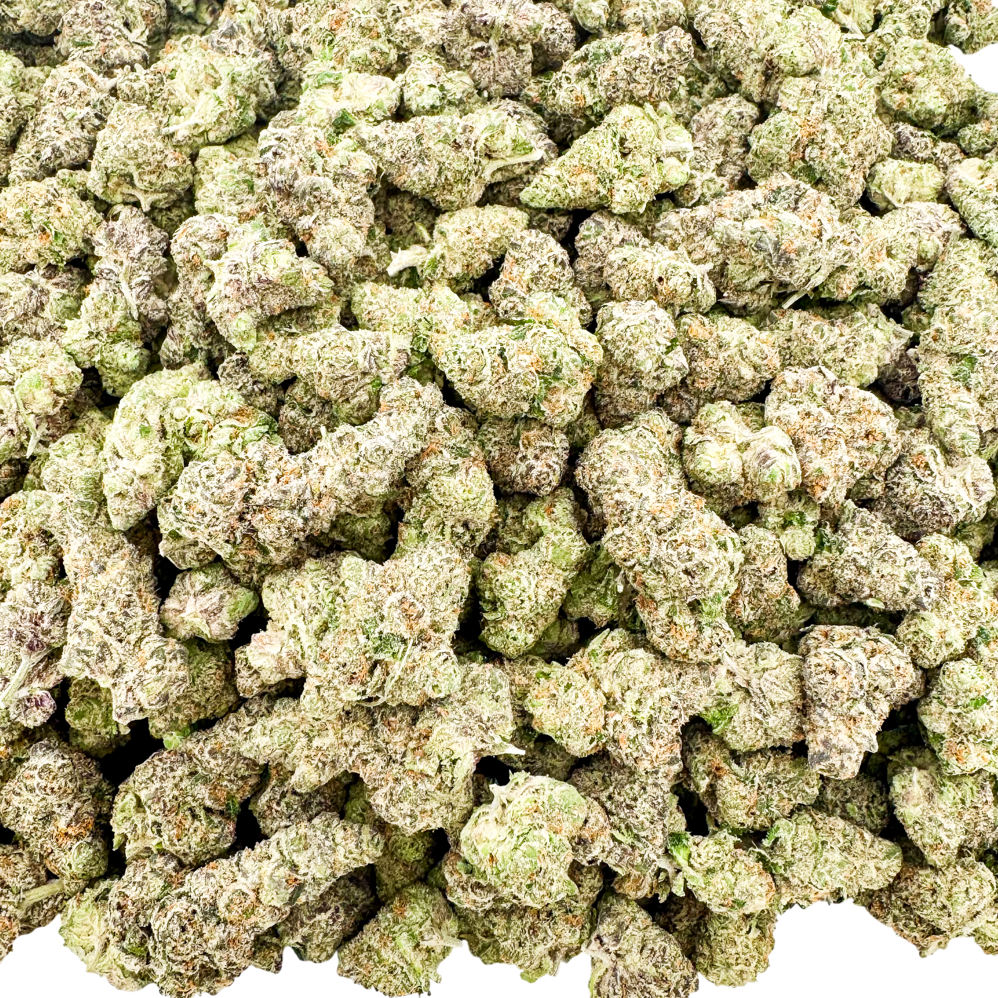 Dry Ice Wholesale THCa Flower