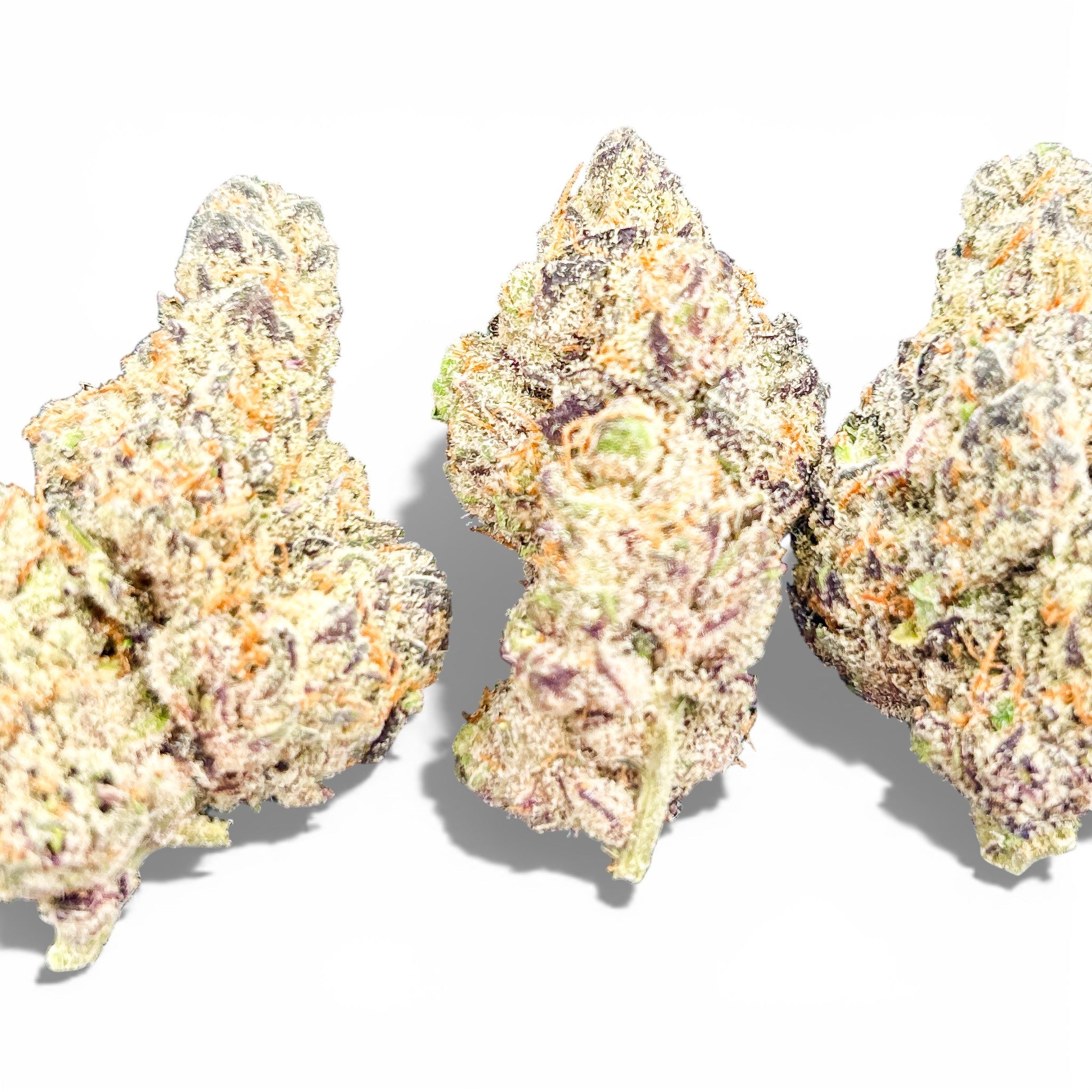 Gelato Runtz Wholesale THCa Flower