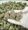 Grape Biscotti Wholesale THCa Flower
