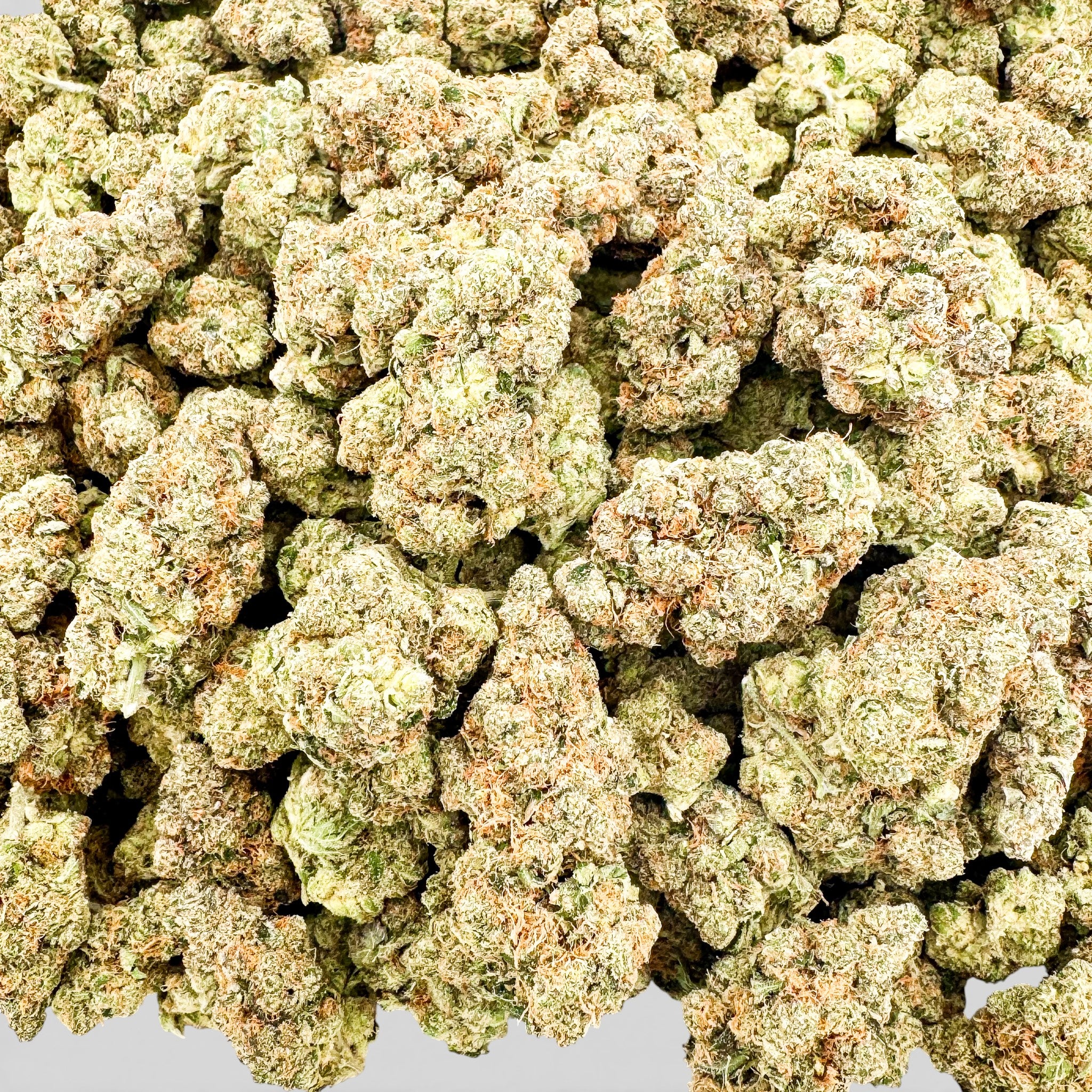 Head Hunter Wholesale THCa Flower