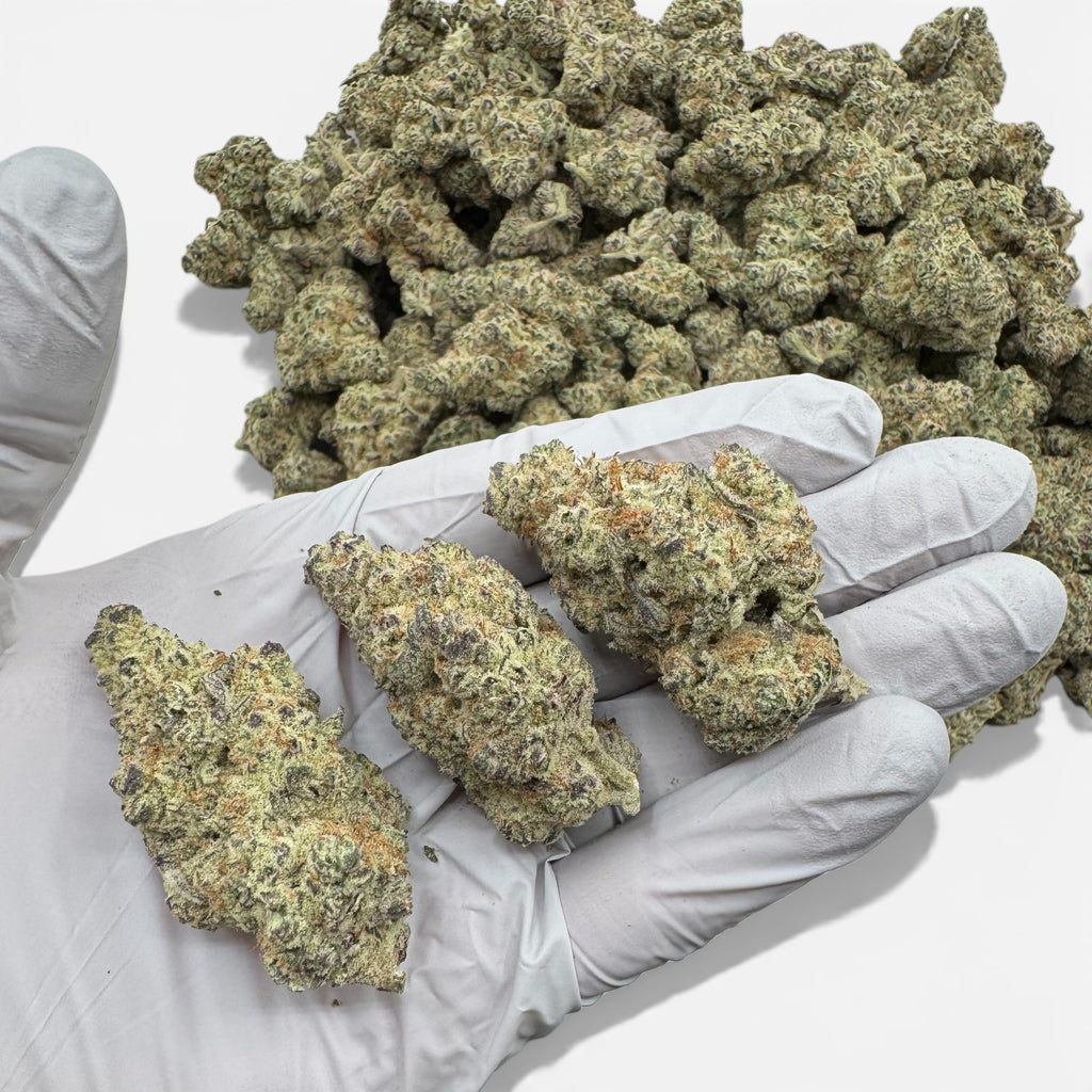 Hippie Crasher Wholesale THCa Flower