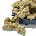 Good Deed Wholesale THCa Flower