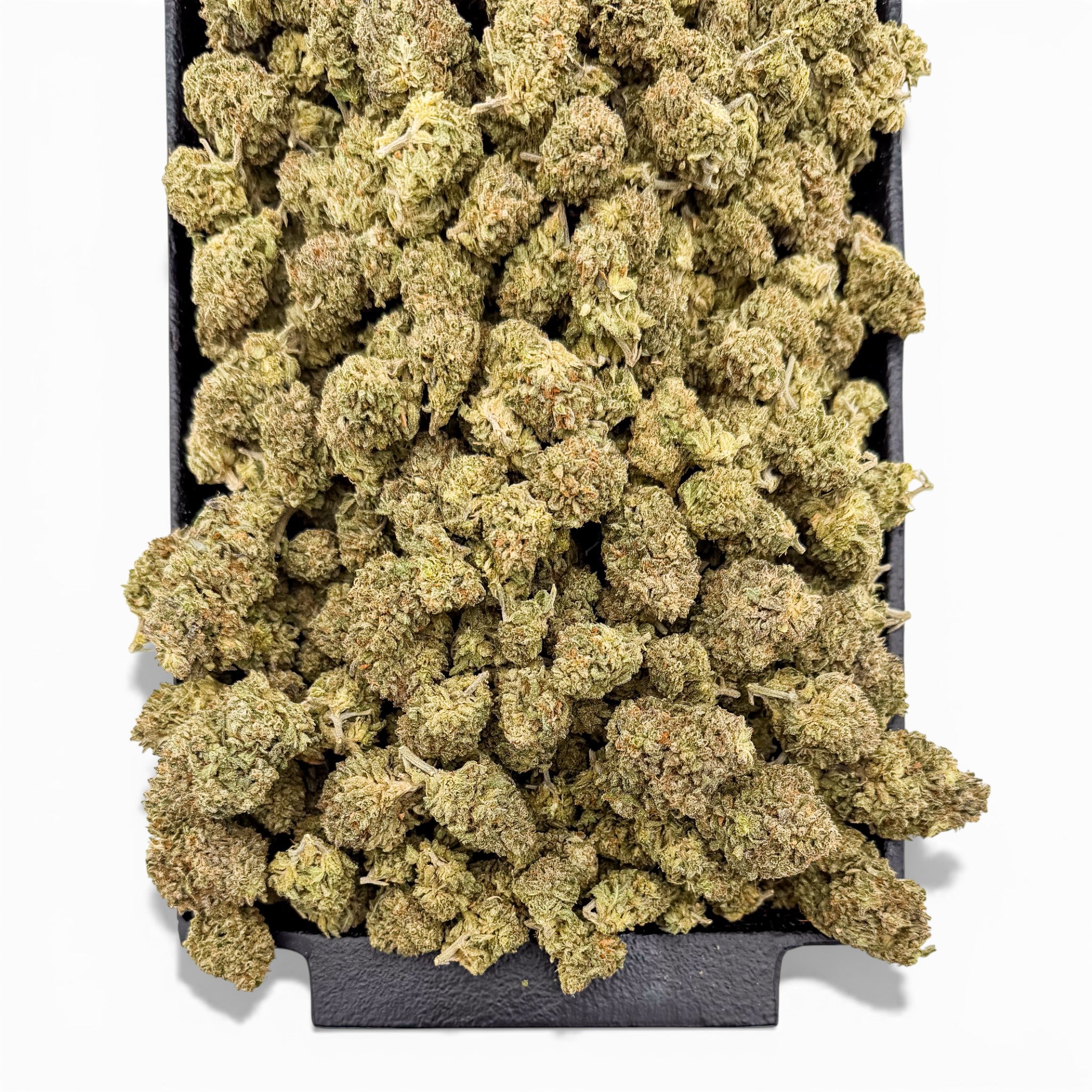 Oreoz Wholesale THCa Flower