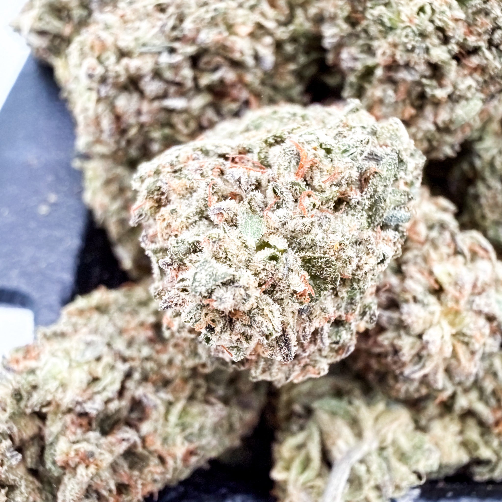 Oreoz Wholesale THCa Flower