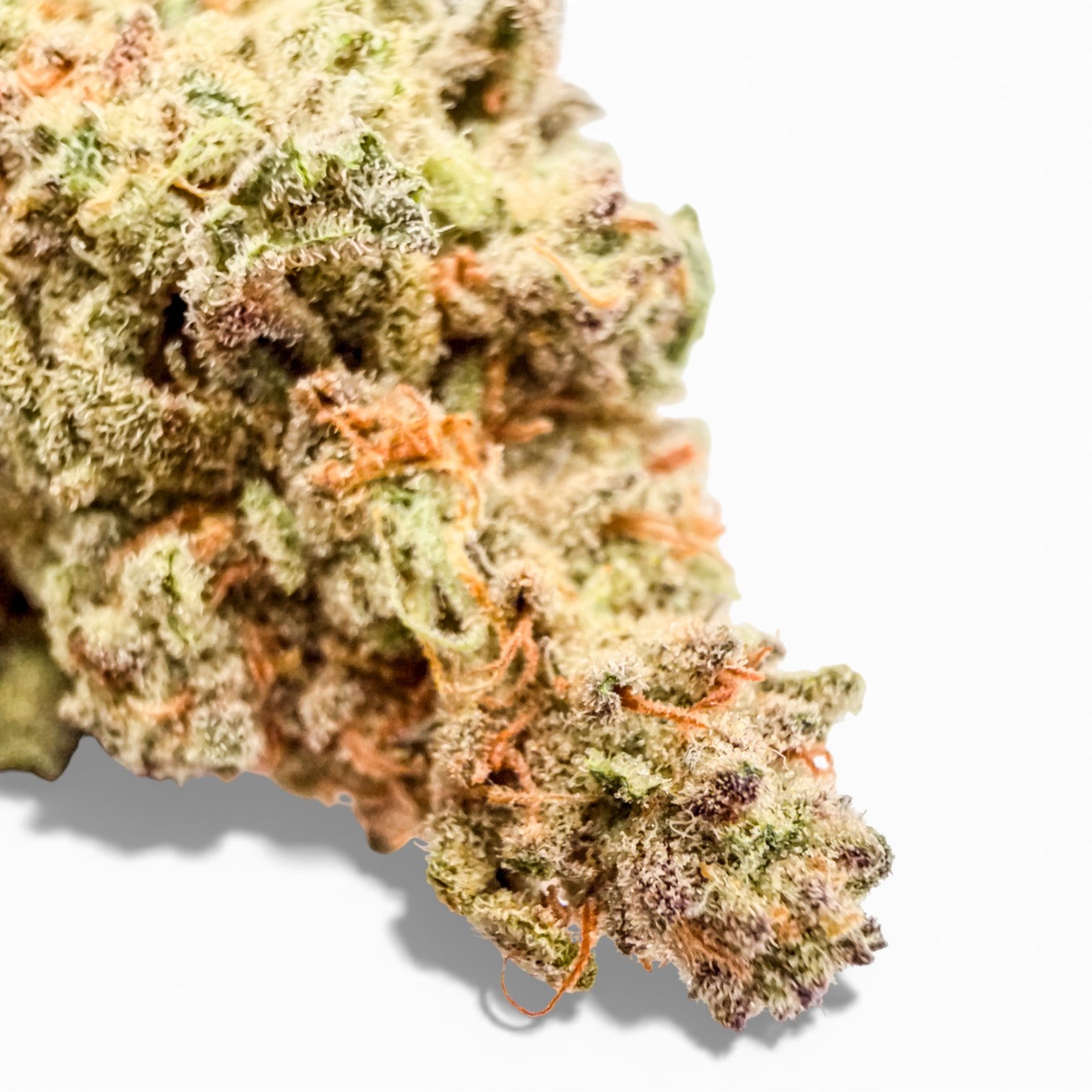 Juicee J Wholesale THCa Flower