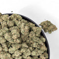 Close-up of cannabis buds in a black bowl on a white background