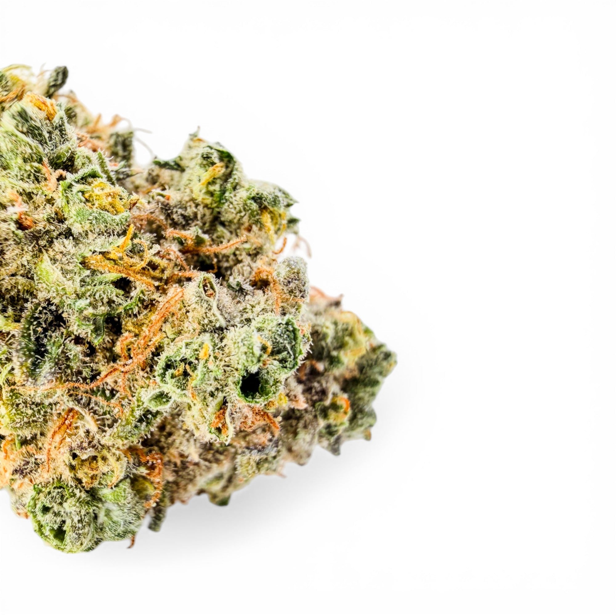 Close-up of a cannabis bud with green and orange colors on a white background