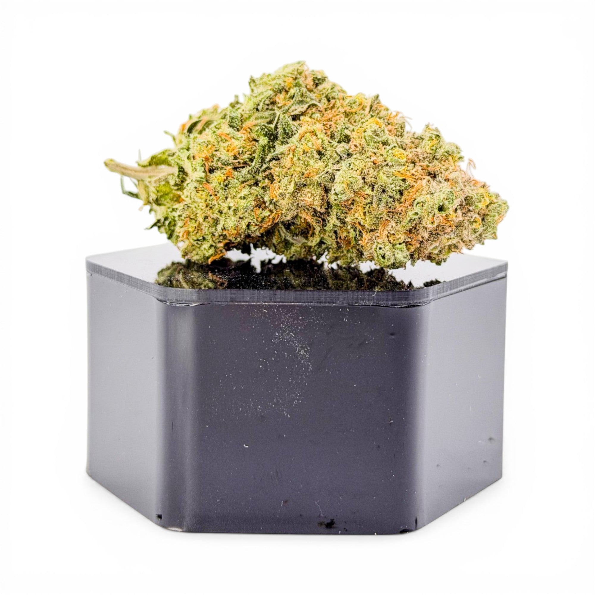 Hexagonal pot with cannabis plant on a white background