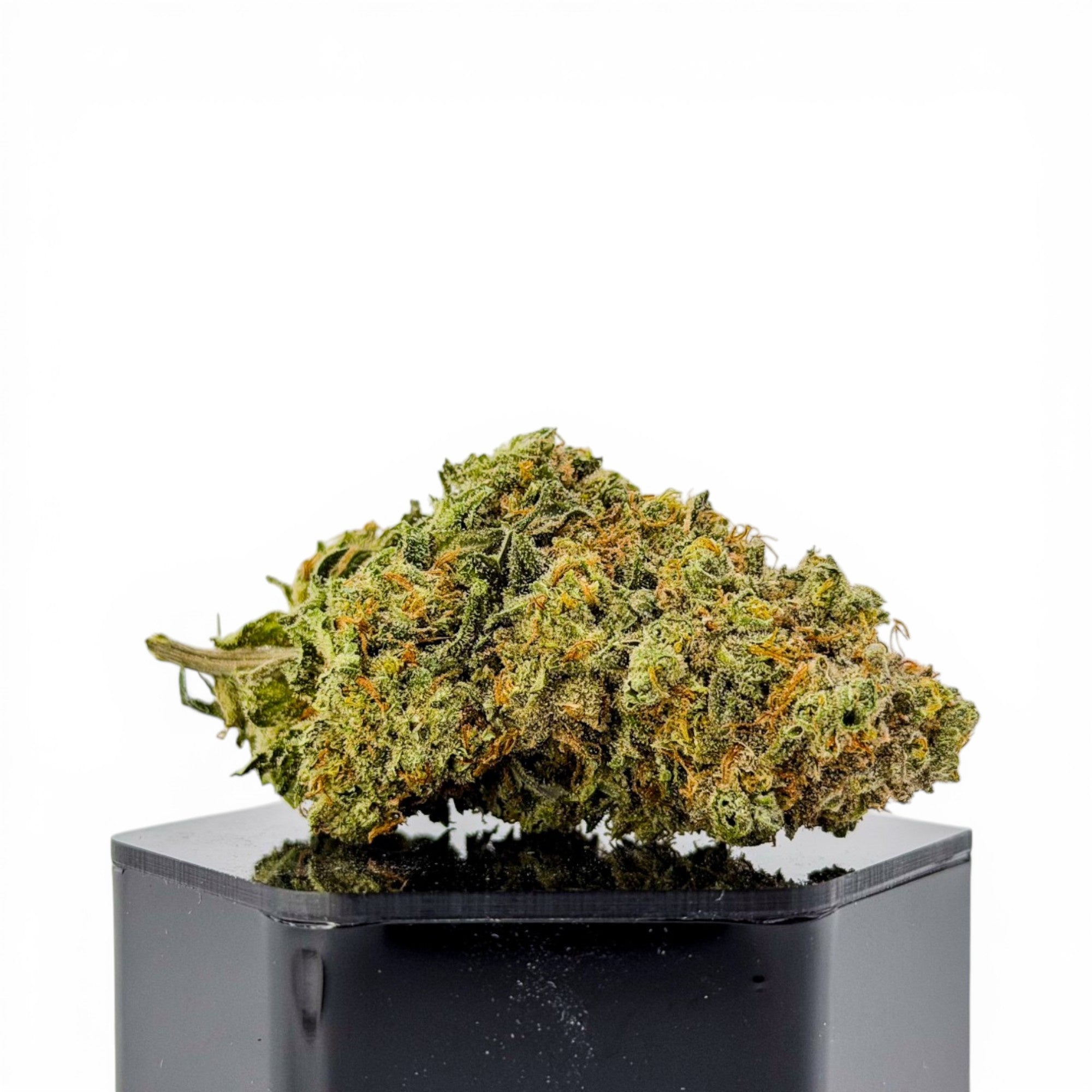Close-up of a cannabis bud on a black container with a white background