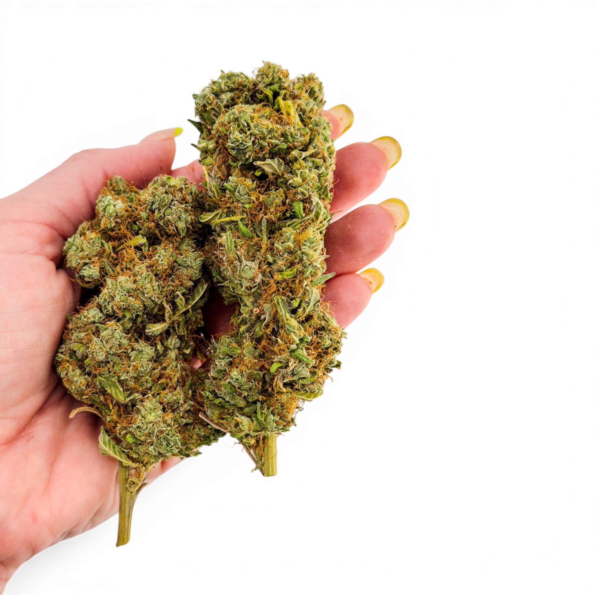 Sour Diesel Premium THCa Flower