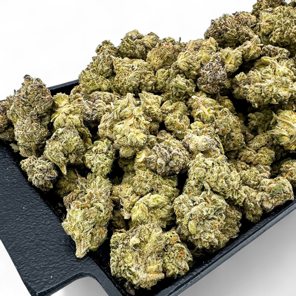 Jet Fuel Premium THCa Flower