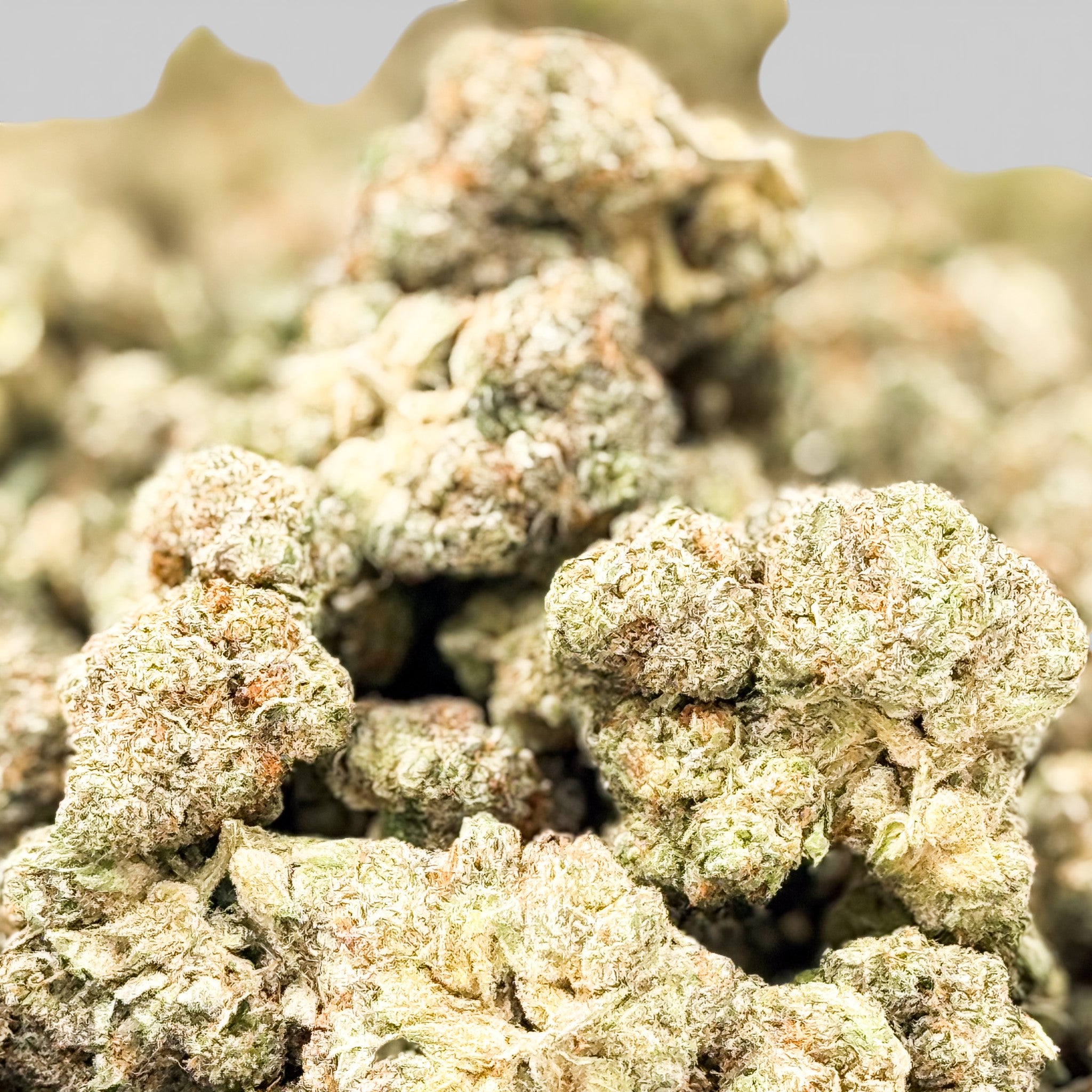Tangiloupe Wholesale THCa Flower