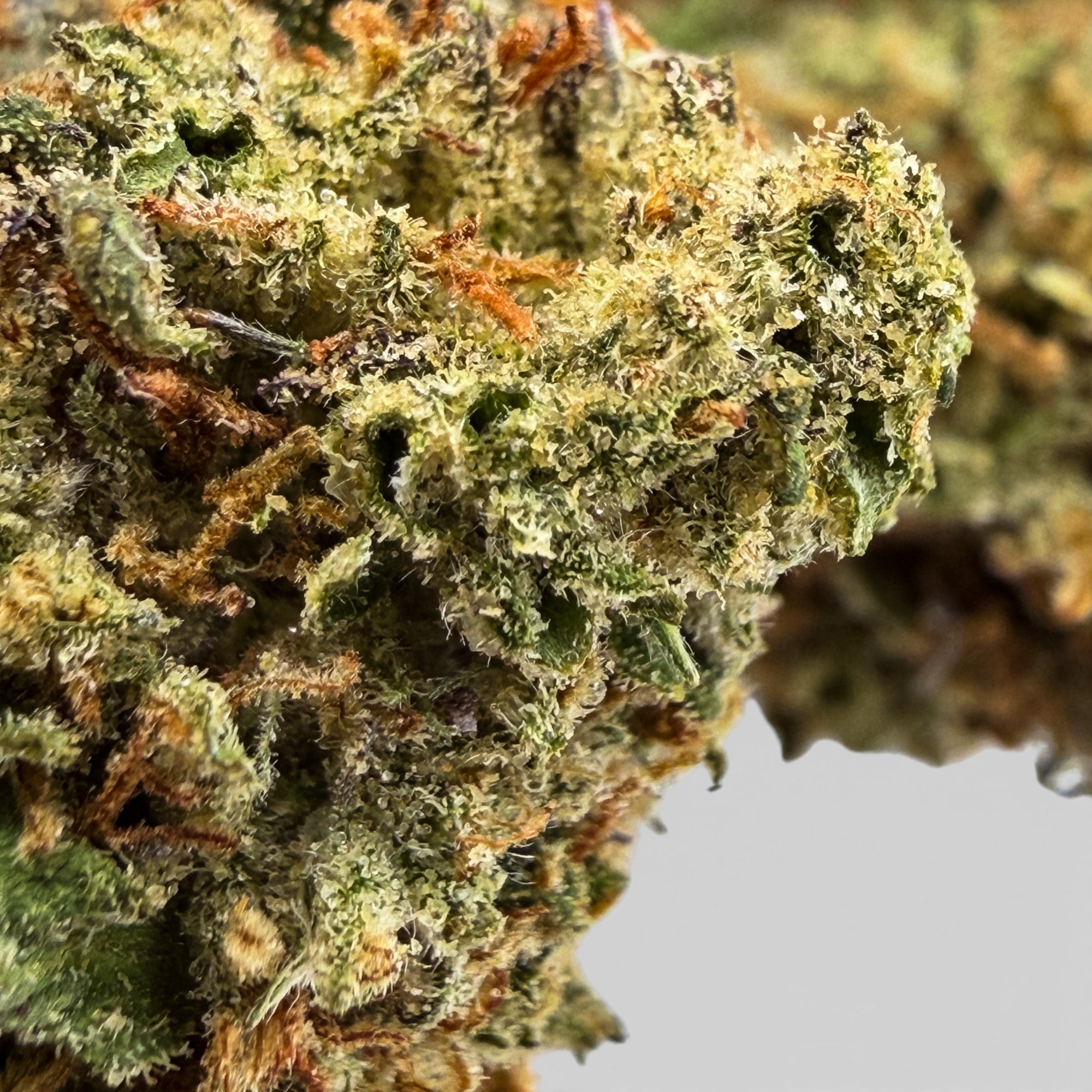 Wedding Crasher Wholesale THCa Flower