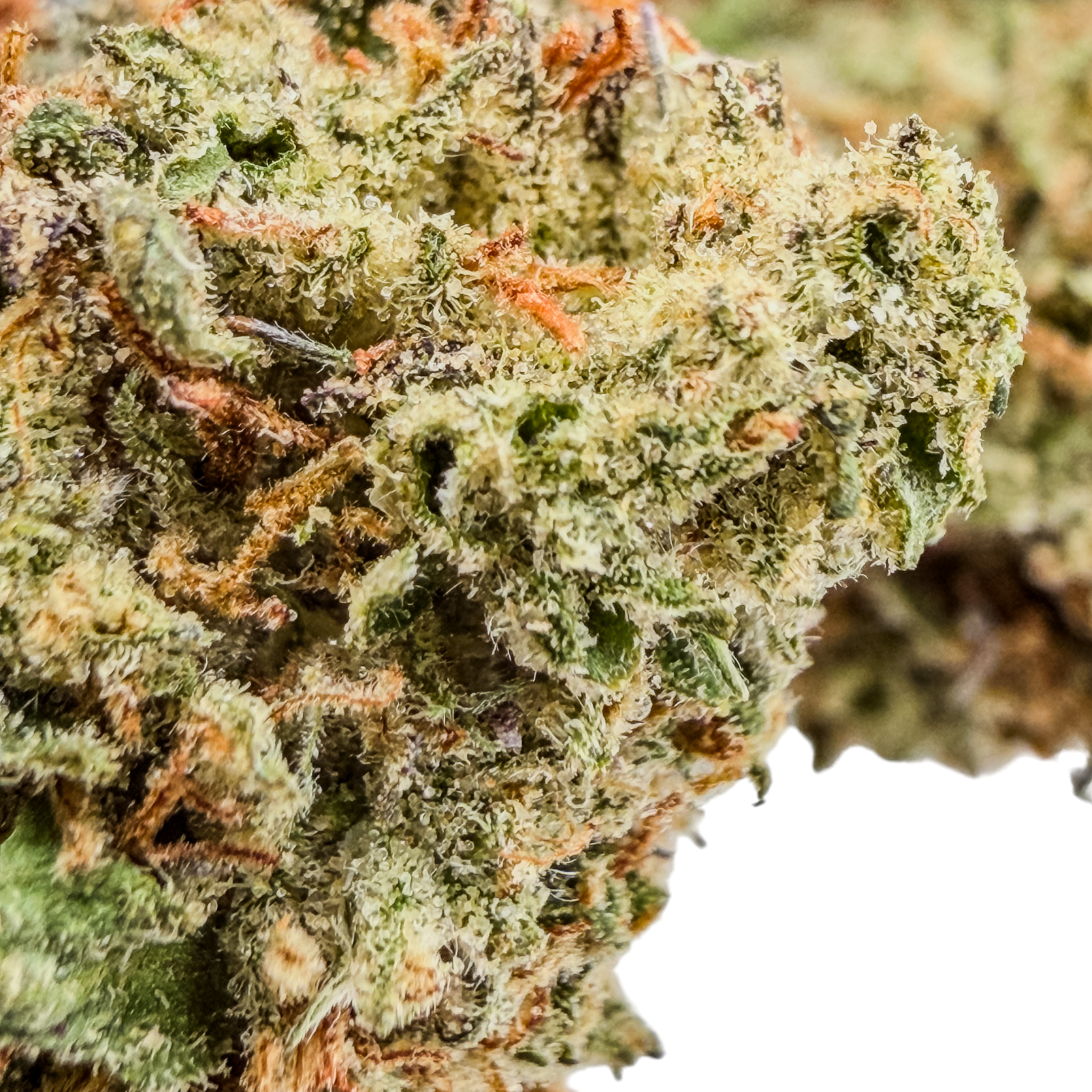 Wedding Crasher Premium THCa Flower