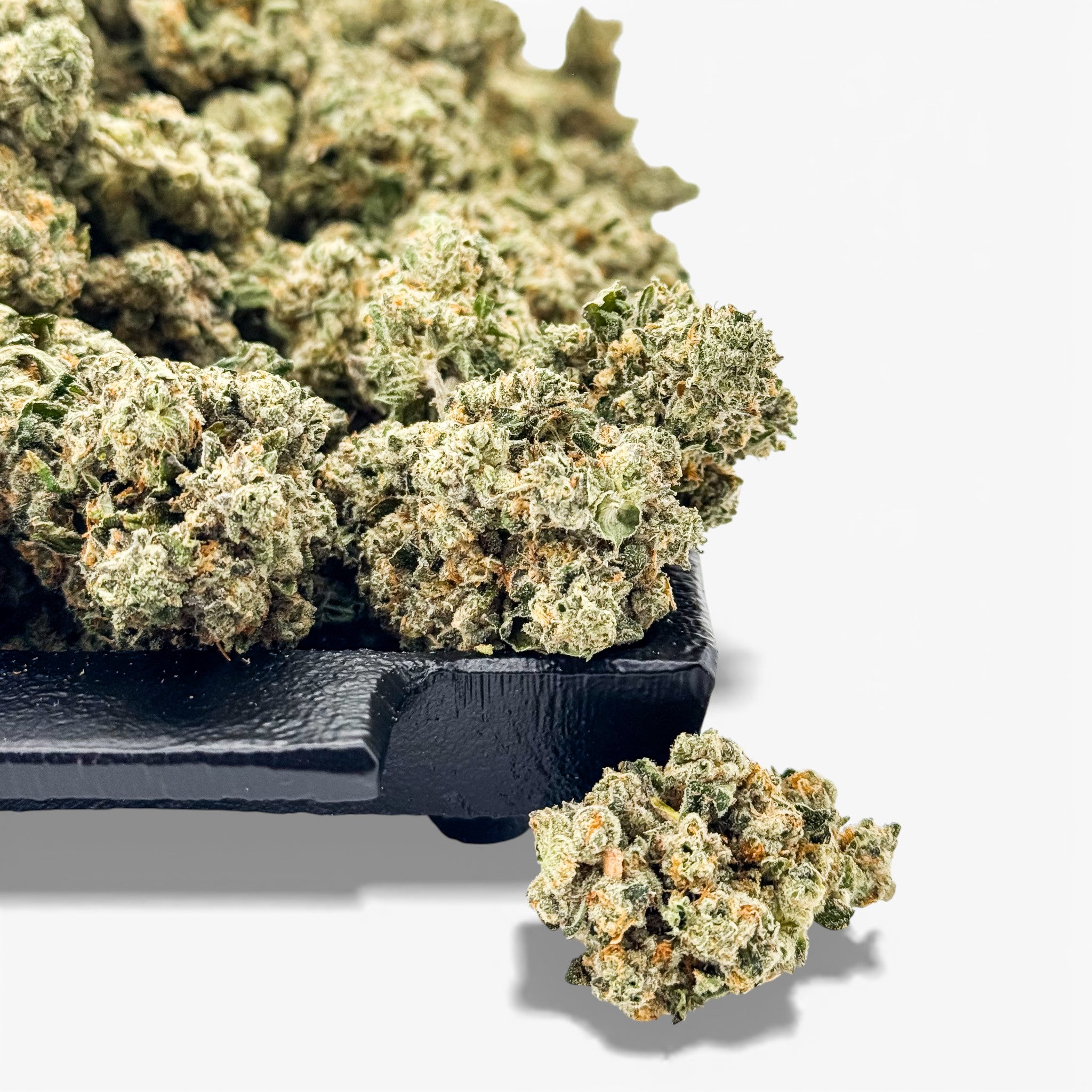 Gary Payton AA Wholesale THCa Flower
