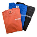 Dr. Wonderstone Short Sleeve Tee — Comfort Colors