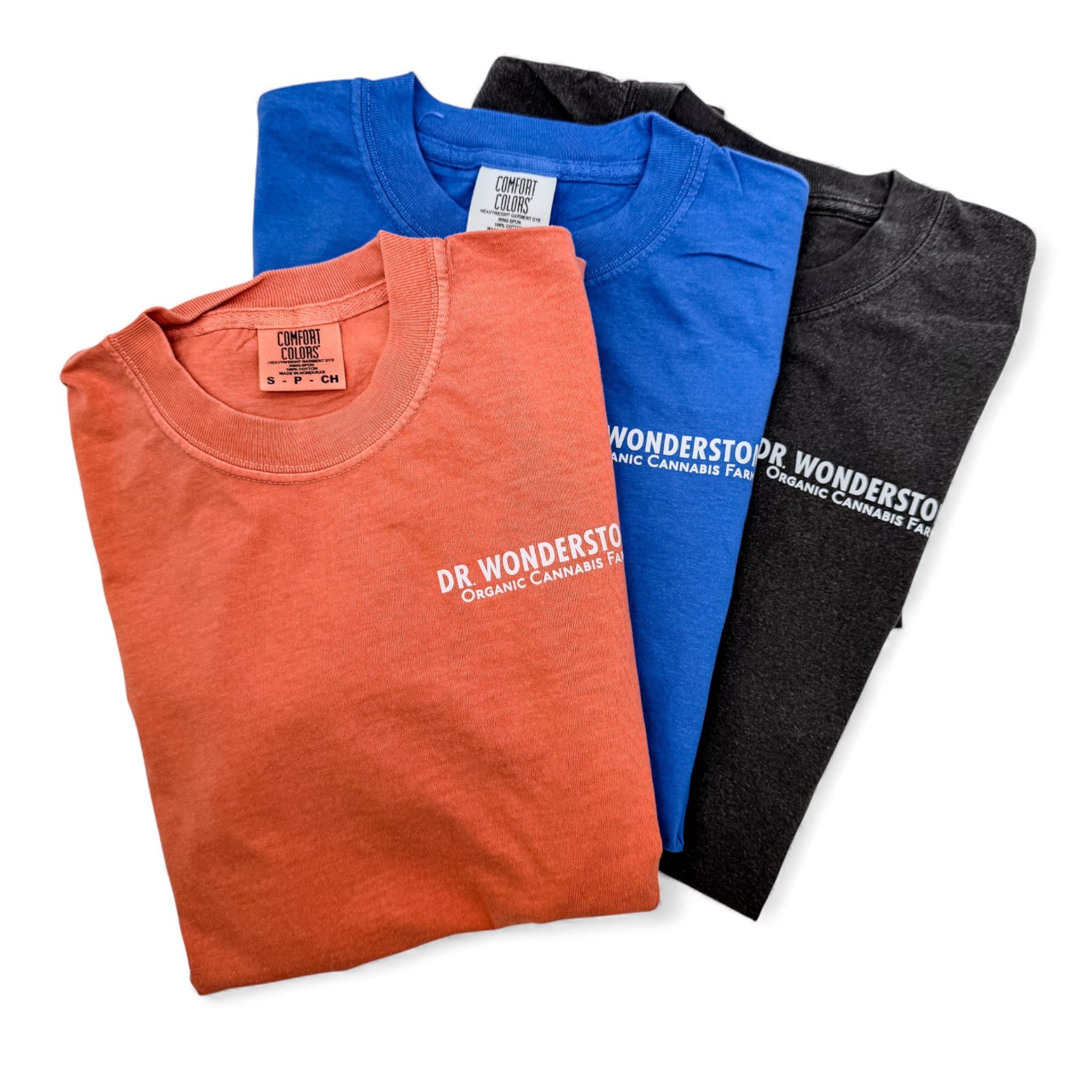 Dr. Wonderstone Short Sleeve Tee — Comfort Colors