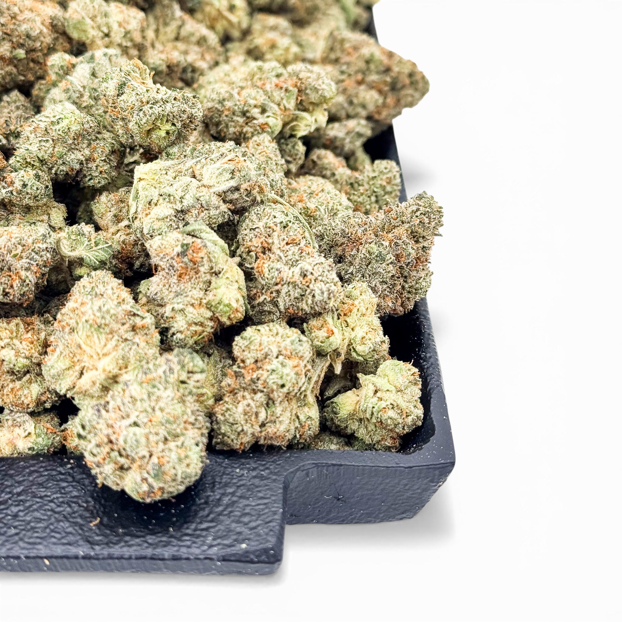 Banana Zkittlez Wholesale THCa Flower