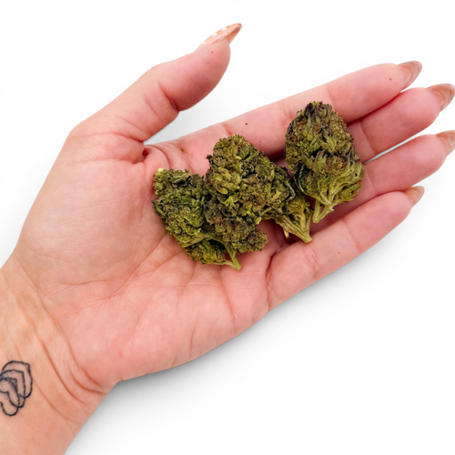 Tropical Cookies Premium THCa Flower