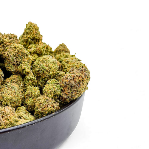 Close-up of cannabis buds in a black bowl on a white background