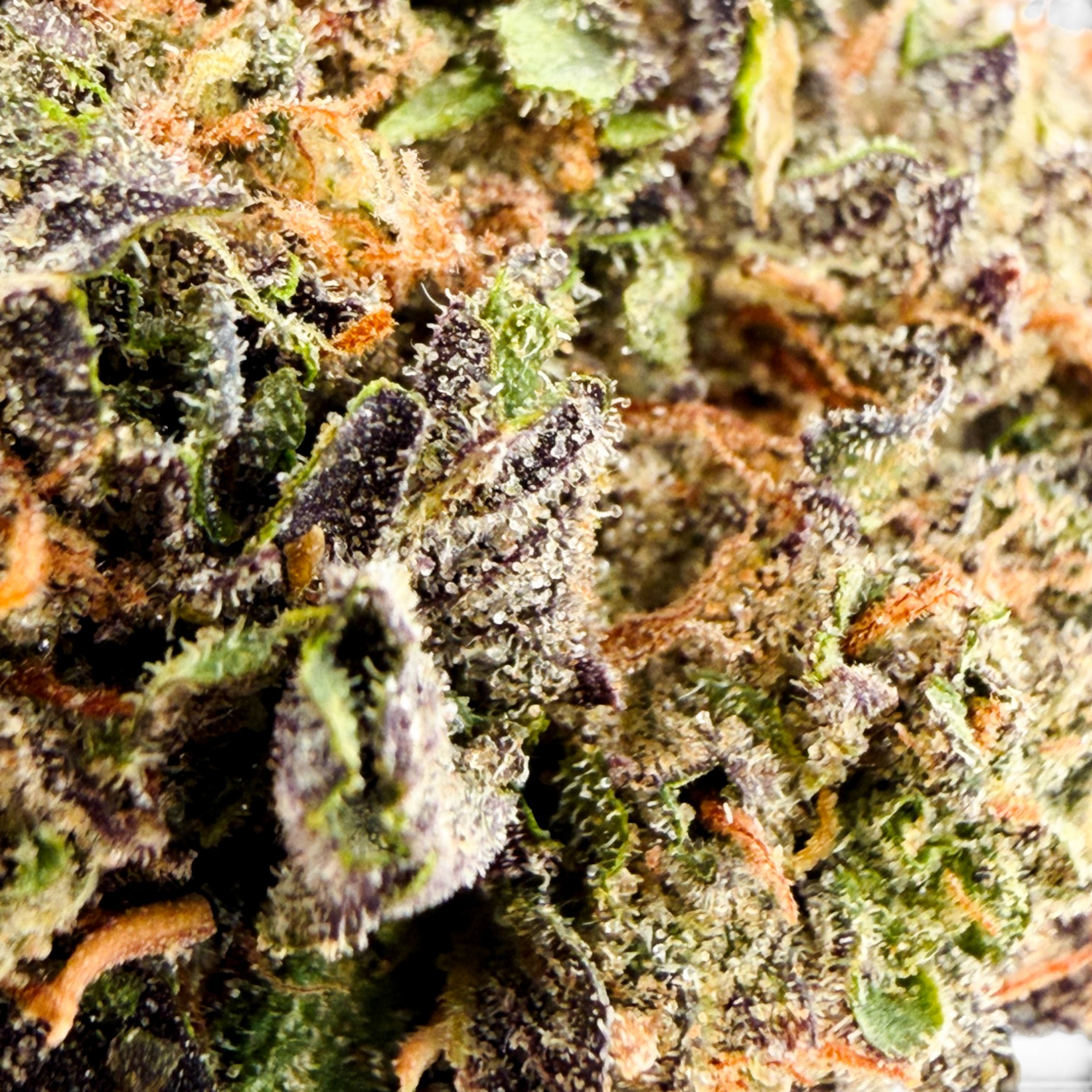 Cosmic Runtz Premium THCa Flower