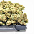 Candy Biscuits Wholesale THCa Flower