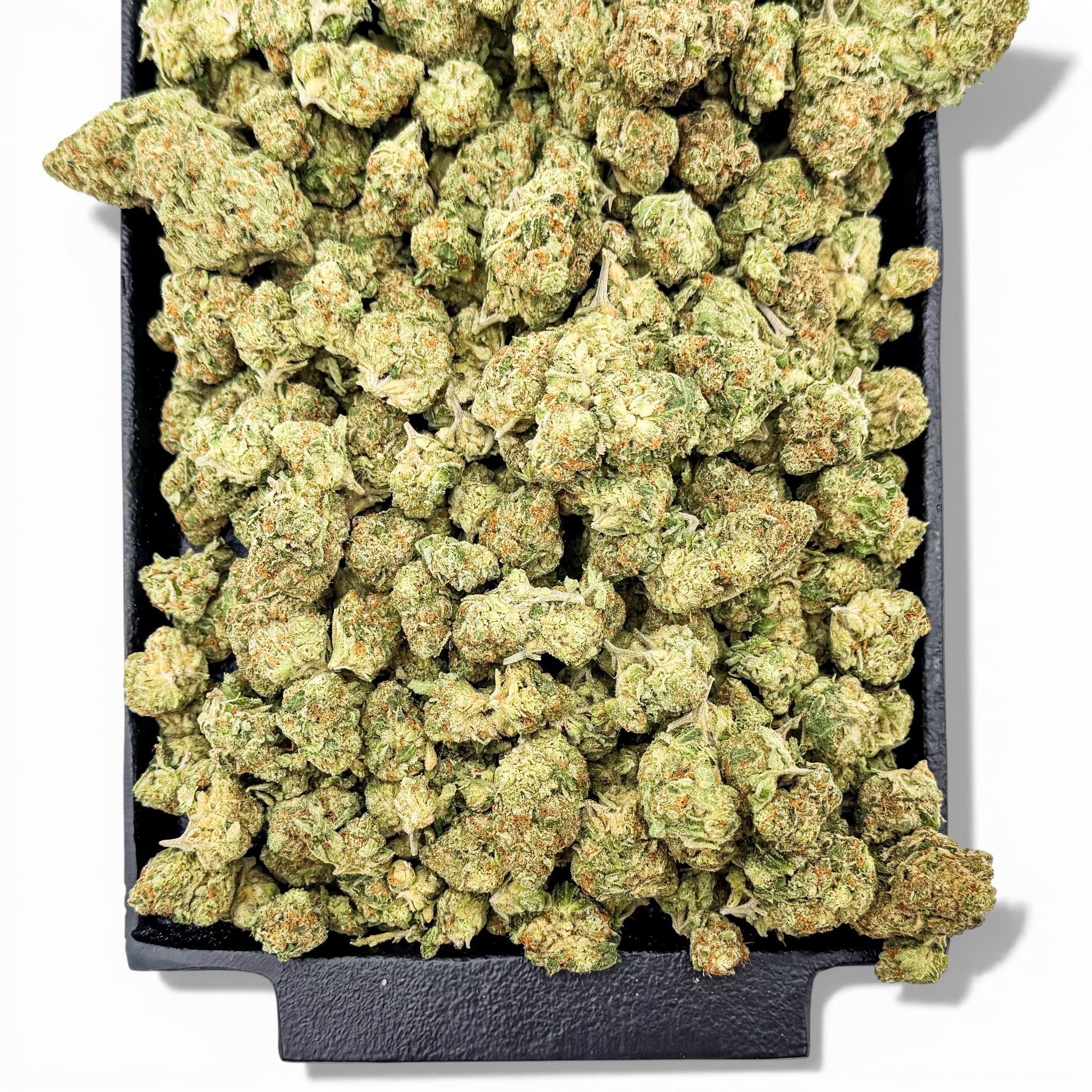 Candy Biscuits Wholesale THCa Flower