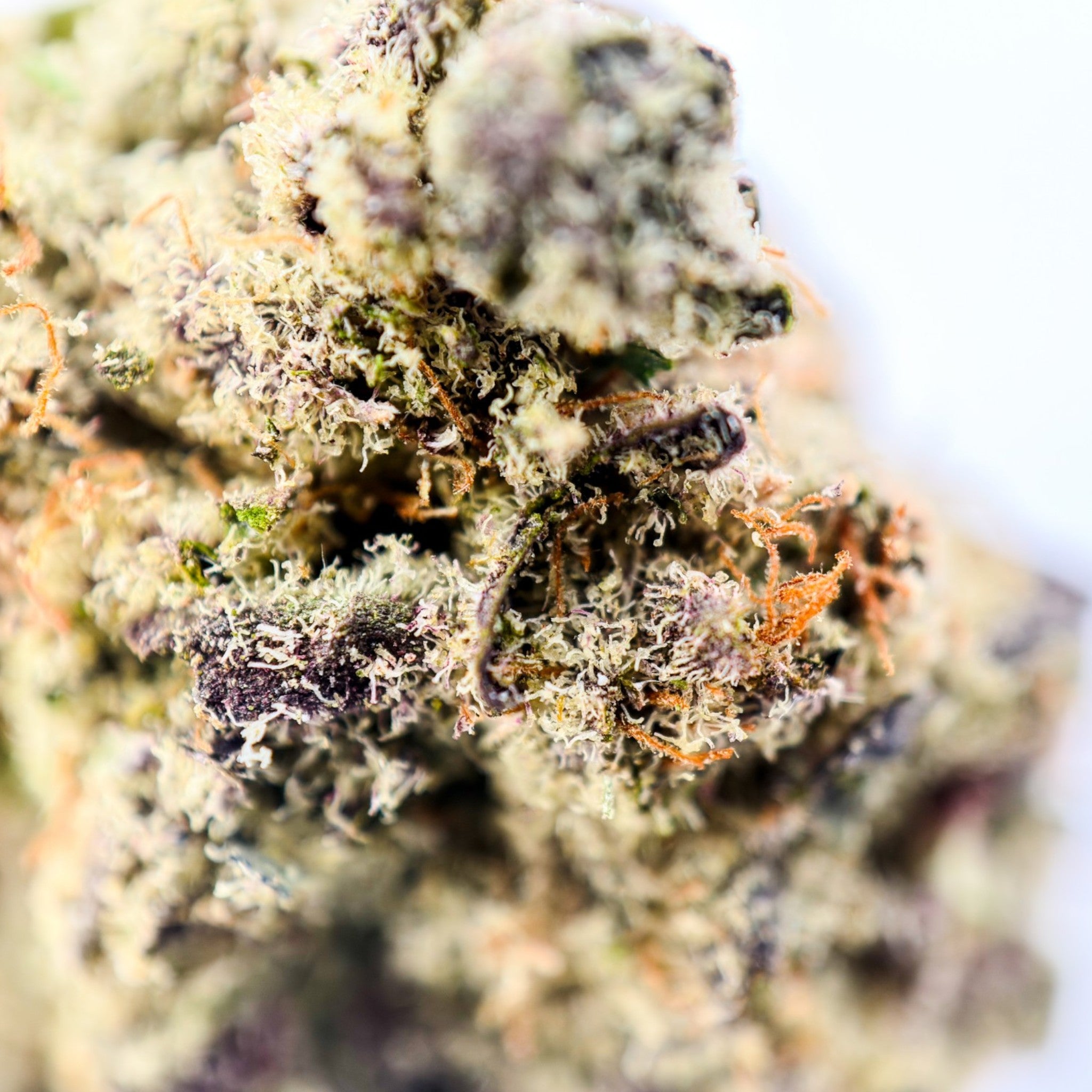 Moonbow Exotic THCa Flower