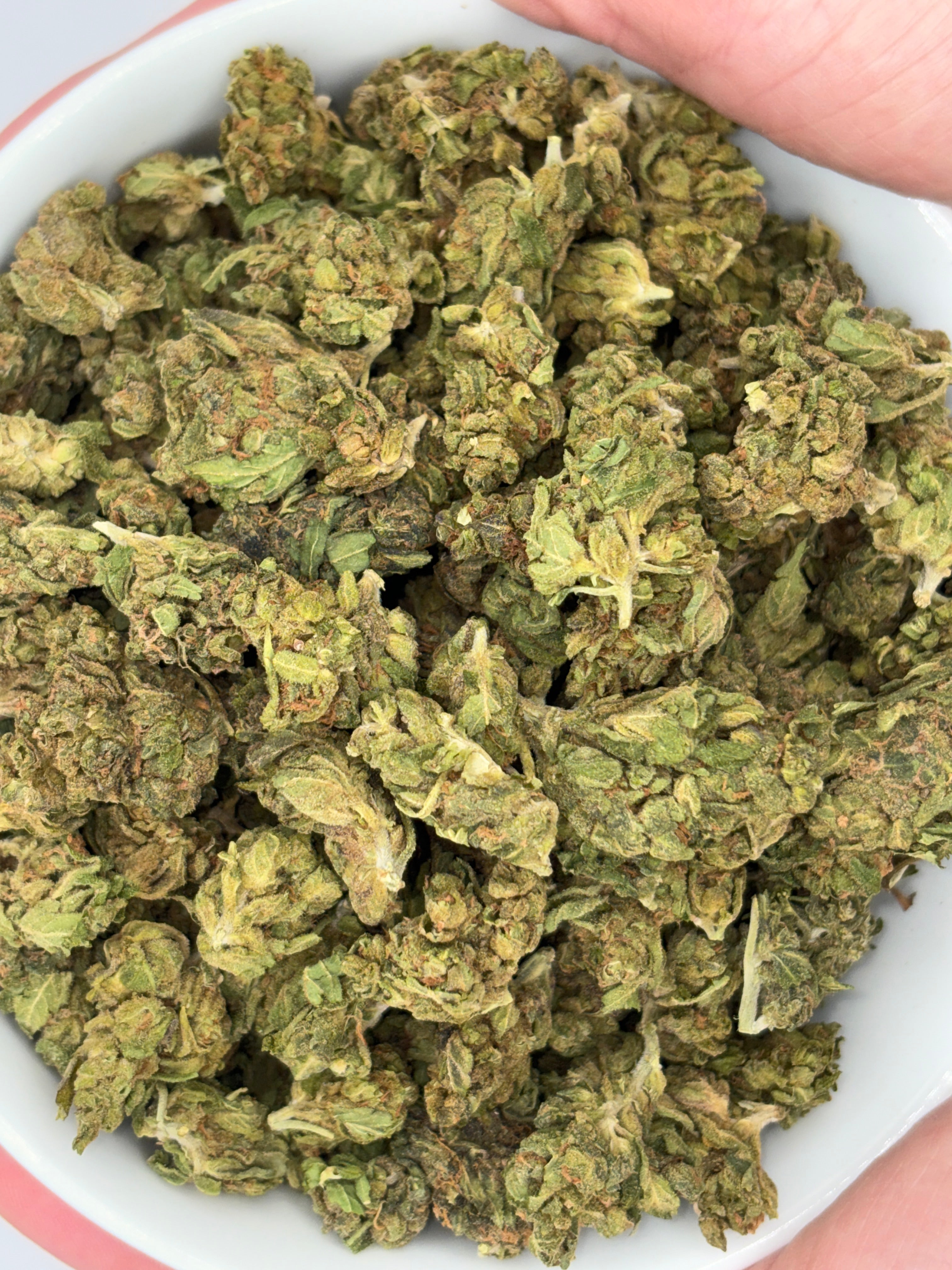 JuiceeJ-MJMintz5.jpg?v=
