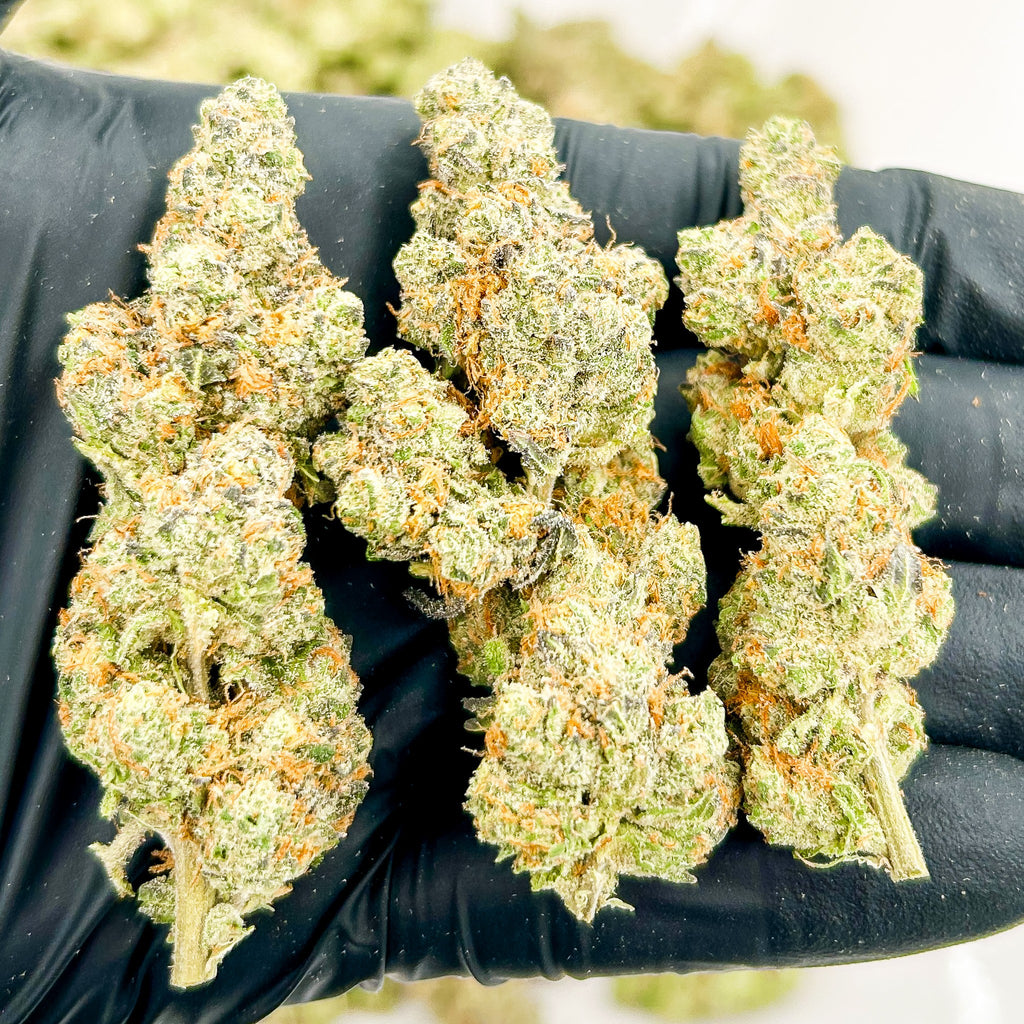 Meat Breath Wholesale THCa Flower