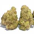 Mochi Wholesale THCa Flower