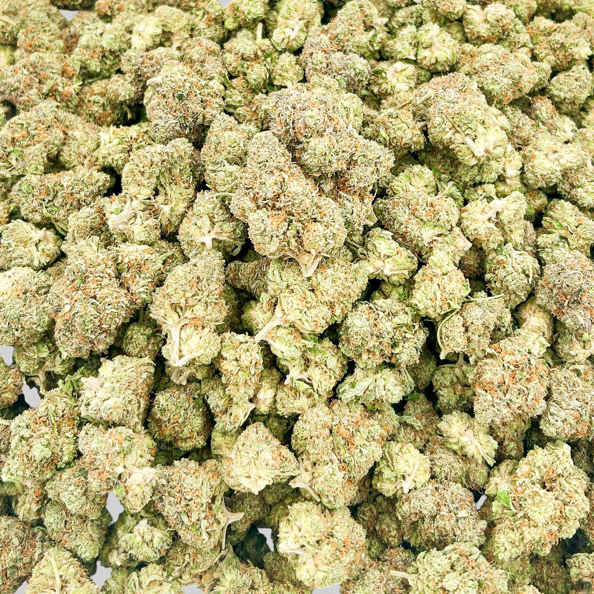 Peanut Butter Soufflé Wholesale THCa Flower