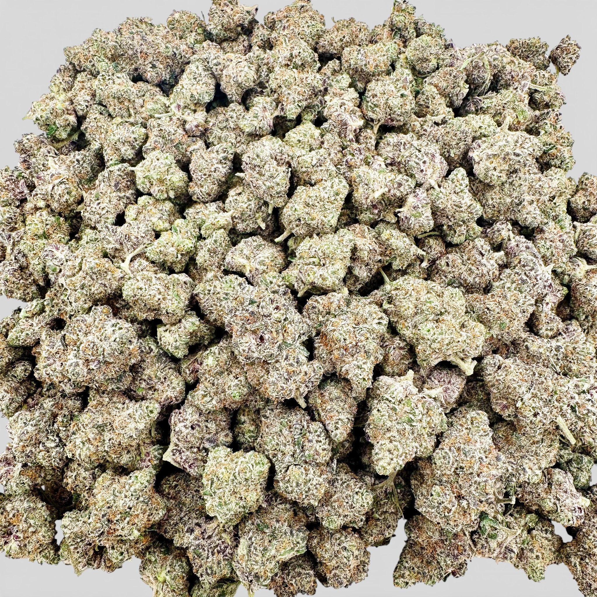 Purple Punch Wholesale Premium THCa Flower