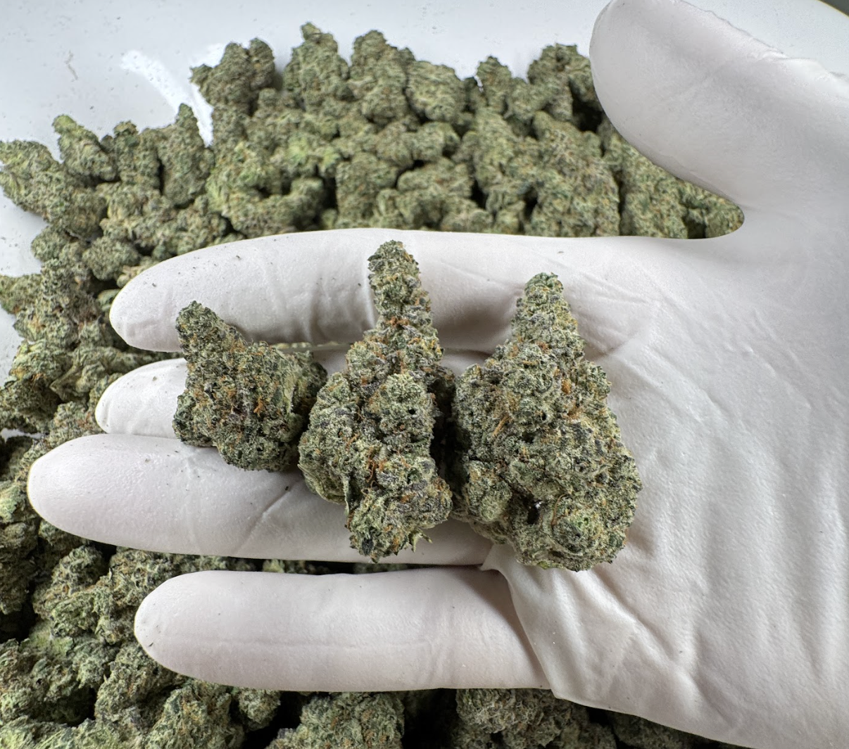 Italian Soda Wholesale THCa Flower